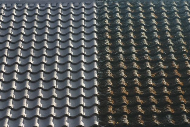 thermal roof coating difference